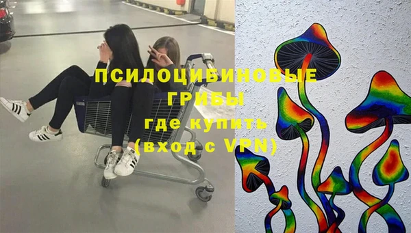 стафф Бородино