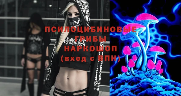тгк Лиски