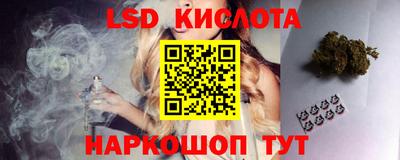 СК Бийск