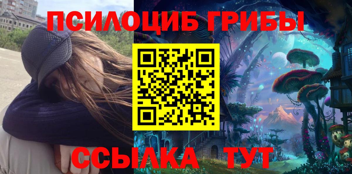 Беслан  Галлюциногенные грибы Cubensis  купить наркотик  Вход с VPN 